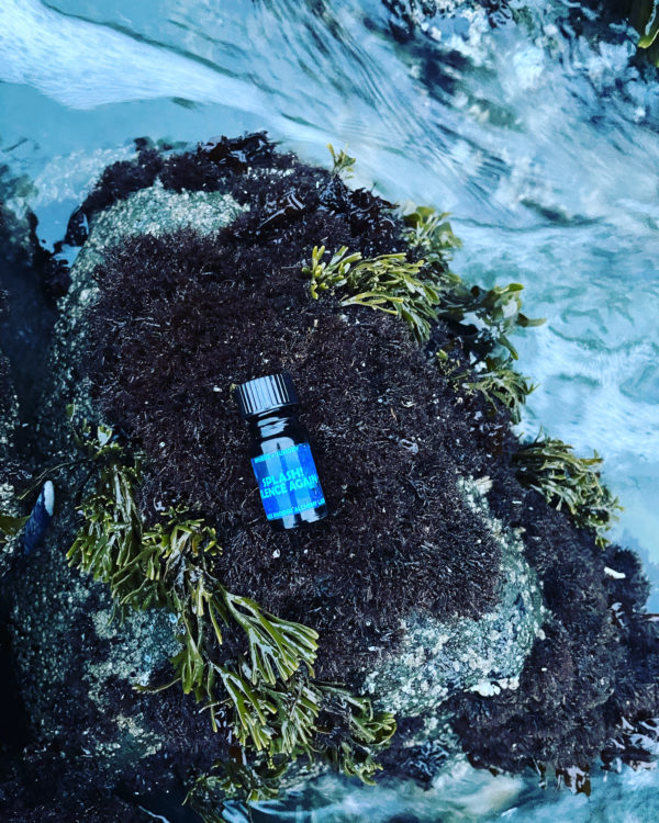 Fomalhaut bpal splash again Fomalhaut bpal splash again