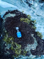 Fomalhaut bpal splash again