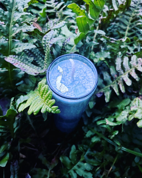 Fomalhaut candle ferns Fomalhaut candle ferns