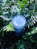 Fomalhaut candle ferns