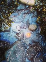 Fomalhaut candle pilgrimage 3