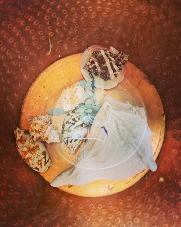 Fomalhaut interior still pot water shells Fomalhaut interior still pot water shells