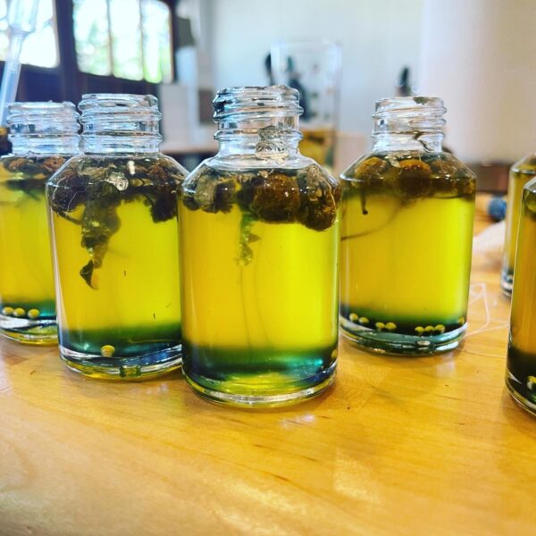 1EDE86DC-7B90-4A68-B43D-36F66B3CA844 1EDE86DC-7B90-4A68-B43D-36F66B3CA844