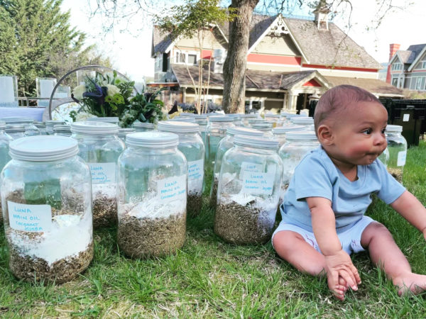 Luna in Cancer creation Amari oil main Luna in Cancer creation Amari oil main