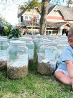 Luna in Cancer creation Amari oil main