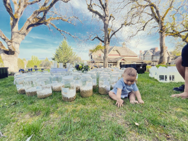 Luna in Cancer creation amari far main oil Luna in Cancer creation amari far main oil