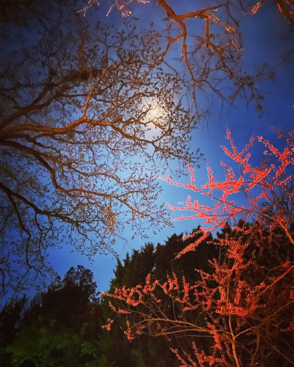 Luna in Cancer creation moon Luna in Cancer creation moon