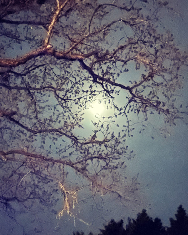 Luna in Cancer creation moon moon Luna in Cancer creation moon moon