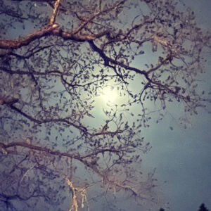 Luna in Cancer Steep + Smoke