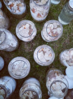 Luna in Cancer creation oil salve body butter above main