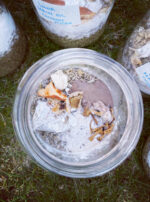 Luna in Cancer creation oil