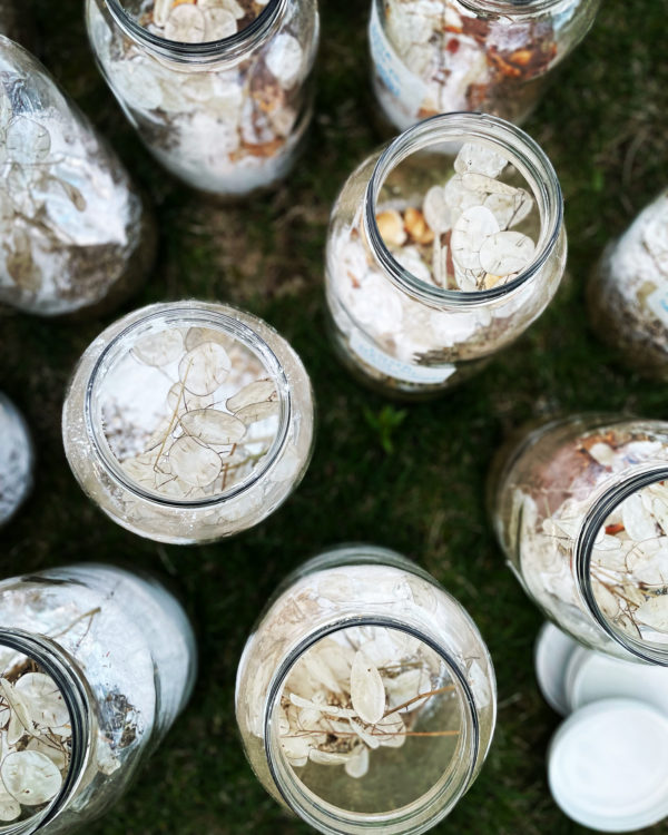 Luna in Cancer creation oil top main Luna in Cancer creation oil top main