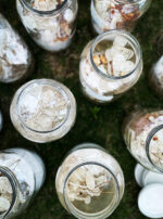 Luna in Cancer creation oil top main