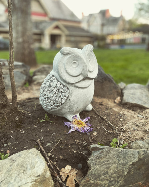 Luna in Cancer creation owl