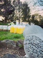 Luna in Cancer creation owl back