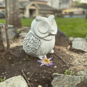 Luna in Cancer Lip Balm