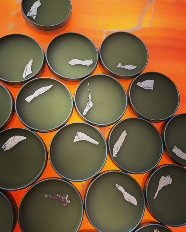 Luna in Cancer creation salve Luna in Cancer creation salve