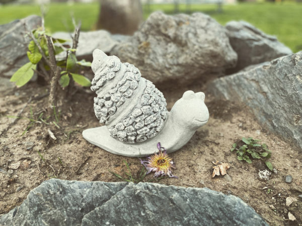 Luna in Cancer creation snail Luna in Cancer creation snail