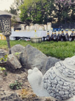 Luna in Cancer creation snail main