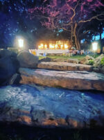 Luna in Cancer creation stairs main