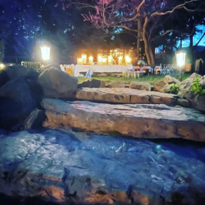 Powder of Luna in Cancer