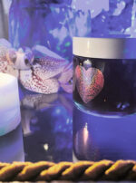 Exalted Venus II Honey