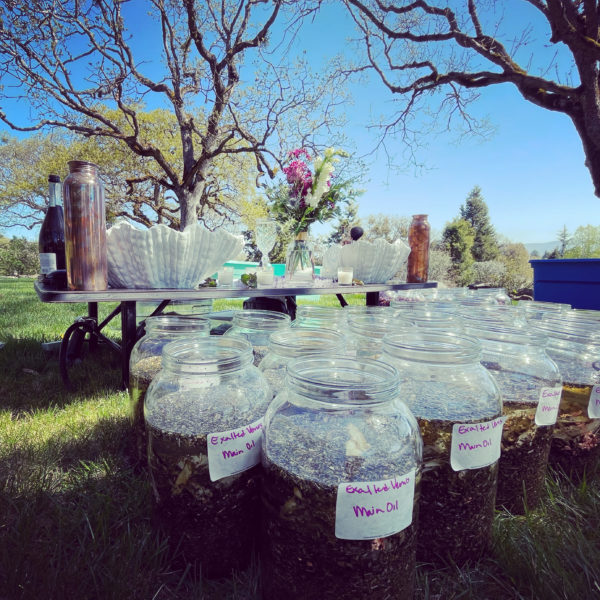 FDE86F43-C378-4A9F-8E81-BB1A4E3E8725 FDE86F43-C378-4A9F-8E81-BB1A4E3E8725