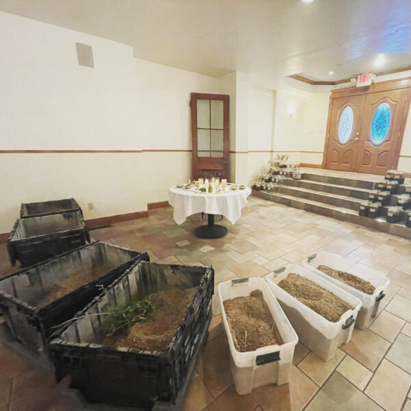 3CBEC666-EB8D-4CD0-BF2B-5861DDEB54D4 3CBEC666-EB8D-4CD0-BF2B-5861DDEB54D4