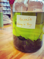 Exalted Mercury Abre Camino Kolonia