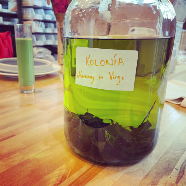 Exalted Mercury Abre Camino Kolonia Exalted Mercury Abre Camino Kolonia