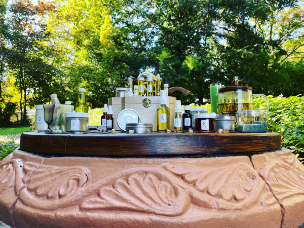 Exalted Mercury Family Portrait, low Exalted Mercury Family Portrait, low