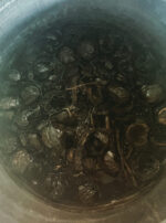 Exalted Mercury Ink Black Walnut 2