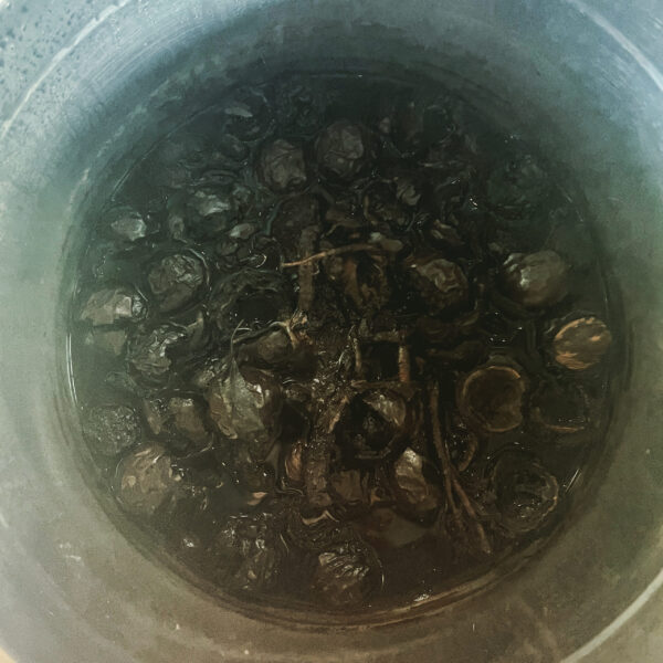 Exalted Mercury Ink Black Walnut 2 Exalted Mercury Ink Black Walnut 2