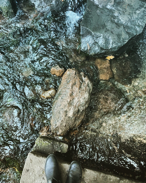 Exalted Mercury Mt. Shasta Water Kolonia Exalted Mercury Mt. Shasta Water Kolonia