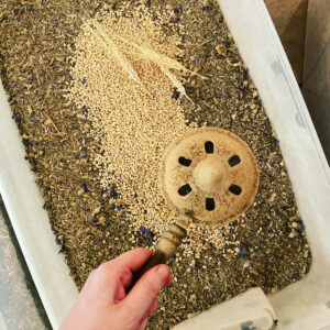 Exalted Mercury Bath Bombs