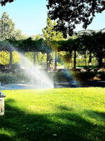 Exalted Mercury Rainbow 2