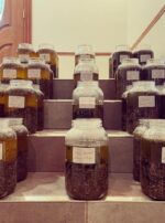 Exalted Mercury Salve Oil Body Butter