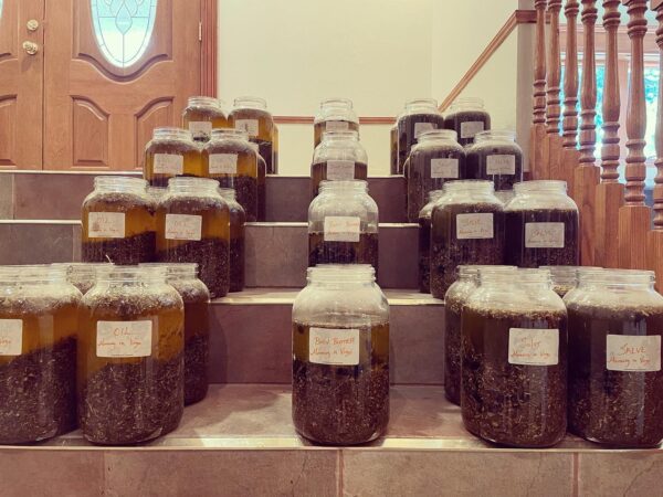 Exalted Mercury Salve Oil Body Butter Exalted Mercury Salve Oil Body Butter