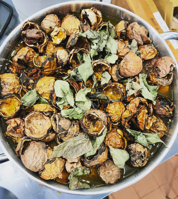 Exalted Mercury Walnut Abre Camino Ink Exalted Mercury Walnut Abre Camino Ink