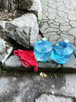 Exalted Mercury Water Kolonia