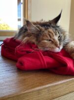 80FB9A59-F772-4A89-85C4-7C4F6FF7164A