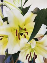 Butter Ocean Jupiter in Pisces Altar Flowers 2