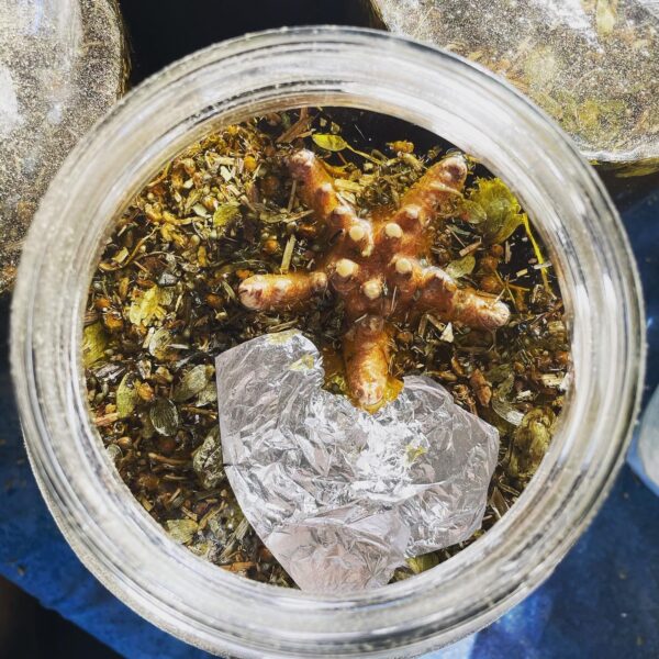 Butter Ocean Jupiter in Pisces Altar Starfish Butter Ocean Jupiter in Pisces Altar Starfish