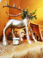 Butter Ocean Jupiter in Pisces Powder Reindeer Main