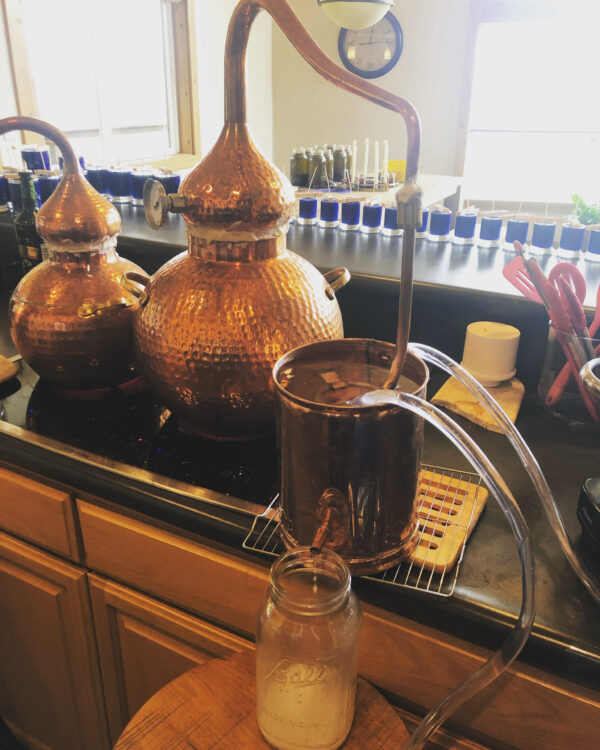 Jupiter in Sagittarius II H20 Jup Juice distillation Jupiter in Sagittarius II H20 Jup Juice distillation