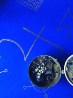 Jupiter in Sagittarius II altarscape frankincense main