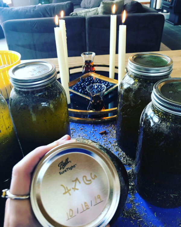 Jupiter in Sagittarius II election main frankincense oils Jupiter in Sagittarius II election main frankincense oils