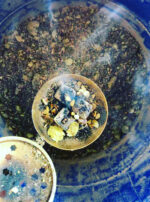 Jupiter in Sagittarius II frankincense oil fumigation