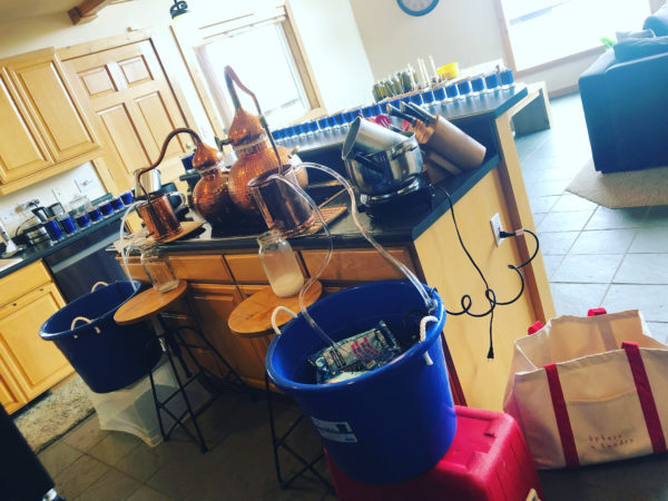 Jupiter in Sagittarius II hydrosol distillation Jupiter in Sagittarius II hydrosol distillation