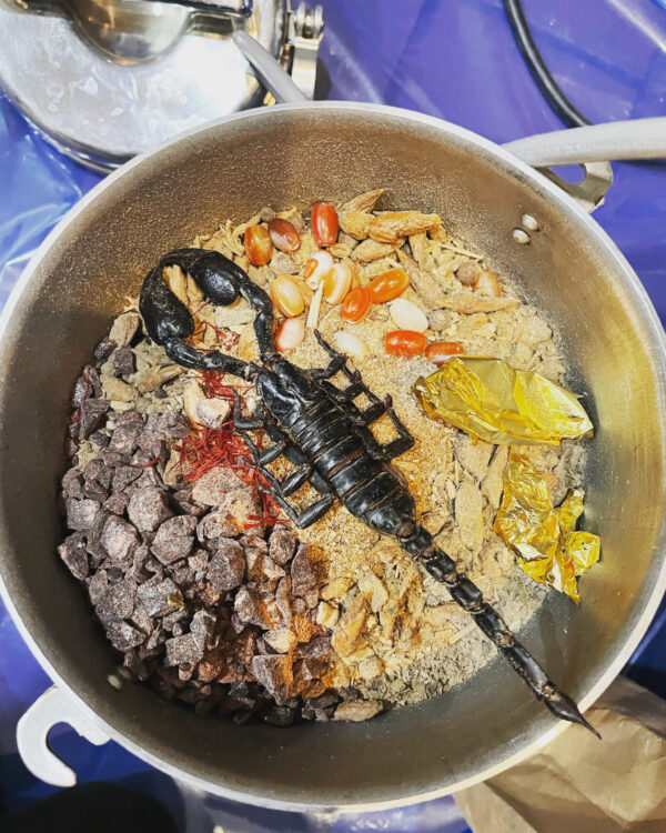 Antares Emperor Scorpion